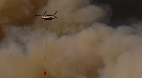 Alerta Roja para la comuna de Alto Biobío por incendio forestal