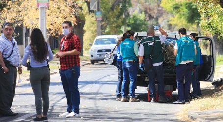 SAG capturó a puma que deambuló varias horas por el sector de Chicureo