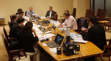 Comisión de Constitución aprobó veto a indulto conmutativo por COVID-19