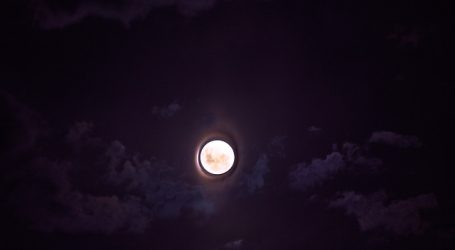 La noche de este martes se pudo observar la espectacular Súper Luna Rosa