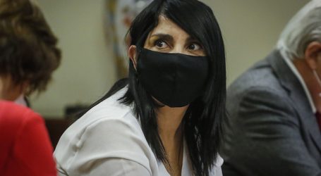 Rubilar: “Probablemente vamos a extender la suspensión de clases hasta mayo”