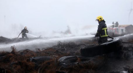 Incendio destruyó 6 camiones y unos 3.000 pallets en Camino a Lonquén