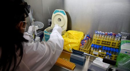Buscadoras de virus: científicas que han dejado huella