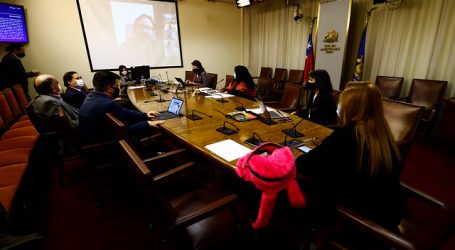 Comisión abordó con ministro de Justicia acciones adoptadas por caso Hualpén