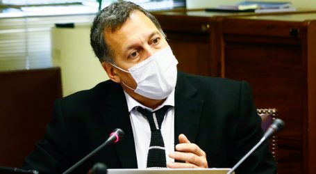 Lagos Weber (PPD) se suma a discusión sobre apoyo estatal a las grandes empresas