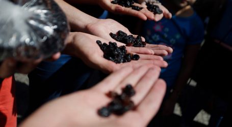 PDI de Los Andes esclarece robo de camión y determina complicidad del chofer