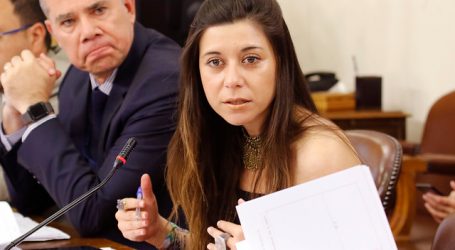 Diputada Daniella Cicardini pide aplazar tarifa de invierno en cuentas de la luz