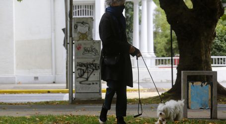 Solicitan revisar restricción para pasear mascotas en cuarentena