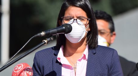 Piñera nombra delegada presidencial en Coquimbo por el Covid-19