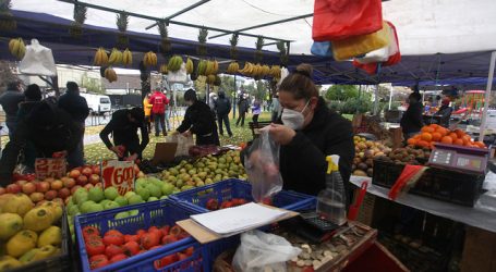 Puente Alto anunció la suspensión de sus ferias libres por 2 semanas