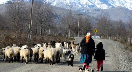 Senador Navarro pide al Minsal una residencia sanitaria para Alto Biobío