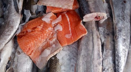 Asociación de Salmones descarta que peces sean agentes de transmisión Covid-19