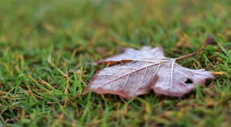 Alerta Temprana Preventiva para la Región de Coquimbo por heladas