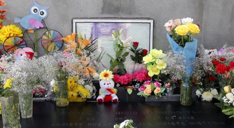 Ley Zamudio: Movilh propuso a la Comisión de DD.HH. del Senado una reforma