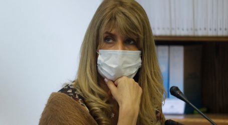 Rincón (DC) criticó dichos de ministro Blumel por postanatal de emergencia