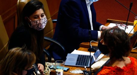 Diputada Cicardini criticó plan de protección a la clase media anunciado ayer