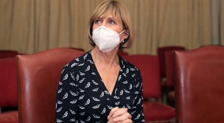 Evelyn Matthei cuestionó indicación de senadora Allende y senador Latorre