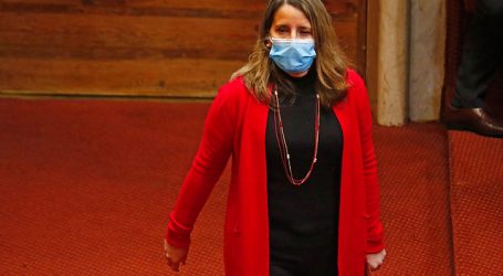 Diputada Luck valora nueva ley que suspende multas por no pago patente alcoholes