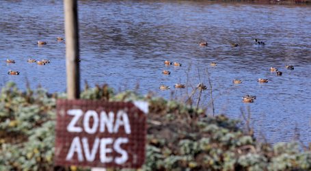 Humedal Ojos de Mar se prepara para una nueva jornada de limpieza en San Antonio