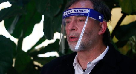 Senador Girardi (PPD): “El nuevo gabinete es de sobrevivencia”