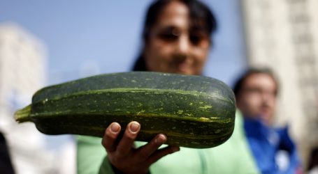 $1.700 millones destina Indap en apoyo a cooperativas de la pequeña agricultura