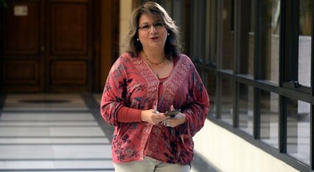 Parra violencia en La Araucanía: “Fue producto de una seguidilla de errores”