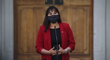 PDI detuvo a dos sujetos por amenazas de muerte contra Izkia Siches