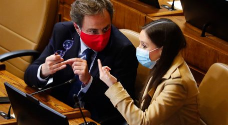 Camila Flores apoya proyecto para reducir la cantidad de diputados de 155 a 134