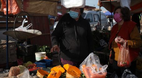 Informan sobre prohibición de entrega de bolsas plásticas en el comercio