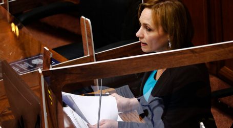 Senadora Goic critica planteamientos de aplazar el Plebiscito
