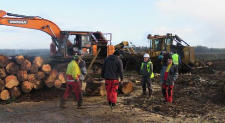 Nuevo ataque incendiario en Arauco: Queman 2 camiones y maquinaria forestal