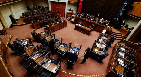 Amplio respaldo a moción que posibilita teletrabajo a trabajadoras embarazadas