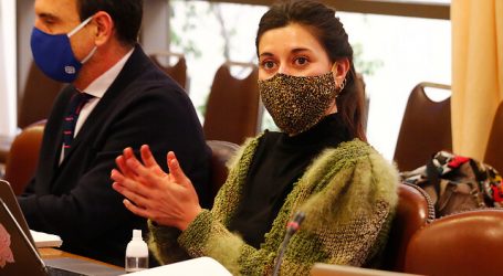 Diputada Cicardini criticó a general Rozas por no asistir a la Comisión de Mujer