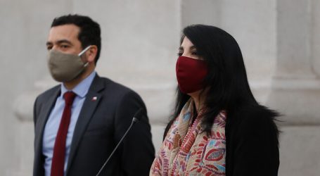 Rubilar ratificó que habrá 5° y 6° pago del Ingreso Familiar de Emergencia