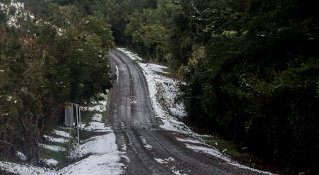 Las bellas imágenes que dejó la nieve caída en Valdivia y Osorno