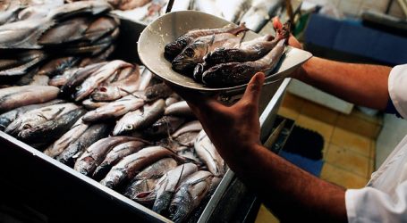 Valparaíso: Exitosos operativos a días de inicio de la veda de la merluza común