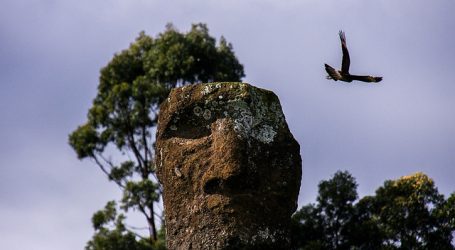 TC acoge requerimiento de inaplicabilidad de dos artículos de la “Ley Pascua”