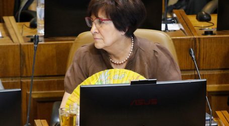 Carmen Hertz rechazo  proyecto que regula la infraestructura crítica