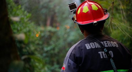 CONAF llama a prevenir incendios forestales en Fiestas Patrias