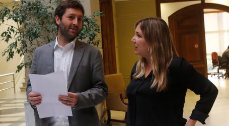 UDI pide inadmisibilidad de acusación constitucional contra Mañalich