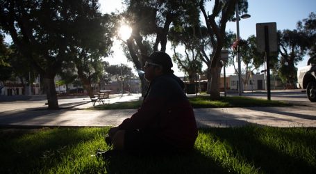 Cigarrillos electrónicos: Senado despacha norma a su debate en particular