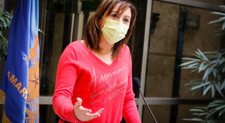 Diputada Carvajal: “el Estado no está cumpliendo” con la protección de la mujer