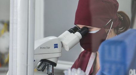 Biobío presenta 246 casos nuevos, 19.635 acumulados y 2.127 activos de Covid-19