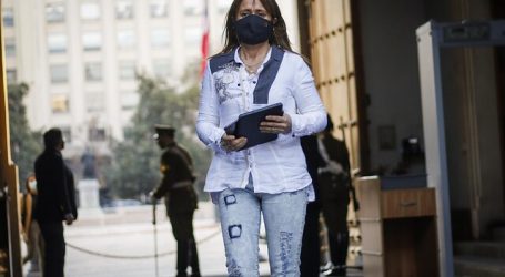 Presidenta de la UDI llama a terminar con la “barbarie terrorista en Arauco”