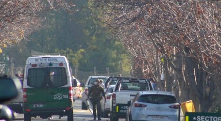 Realizan operativo para encontrar pumas avistados en Las Condes