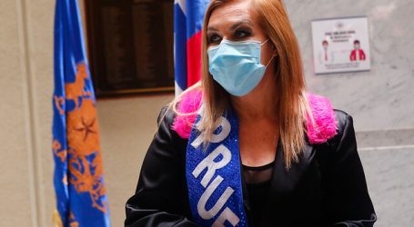 Partido Humanista entregó su respaldo a diputada Jiles
