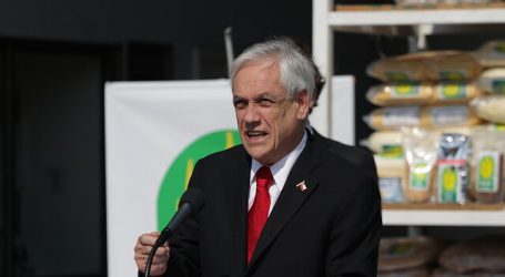 Piñera plantea 10 puntos esenciales para una eventual nueva Constitución