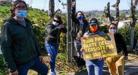 Seremi por ataque incendiario en Viña del Mar: “No nos vamos a dejar amedrentar”