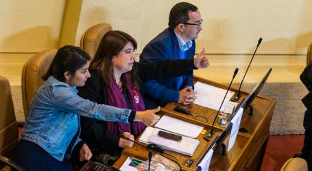 Diputadas Mix y Rojas piden al PS, PR y DC sumarse a acusación contra Mañalich