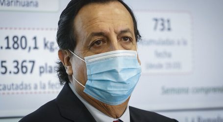 Gobierno explica fiscalizaciones a domicilios en Fiesta Patrias